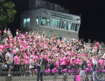 Student section in stadium, pink out