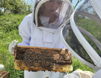 Student with bee hive