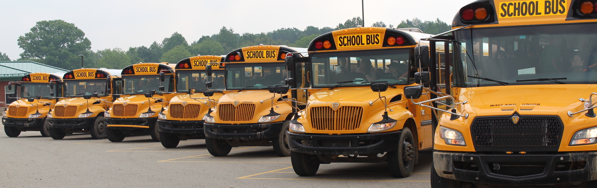 Bus lined up at MS
