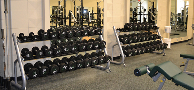 free weights at fitness center